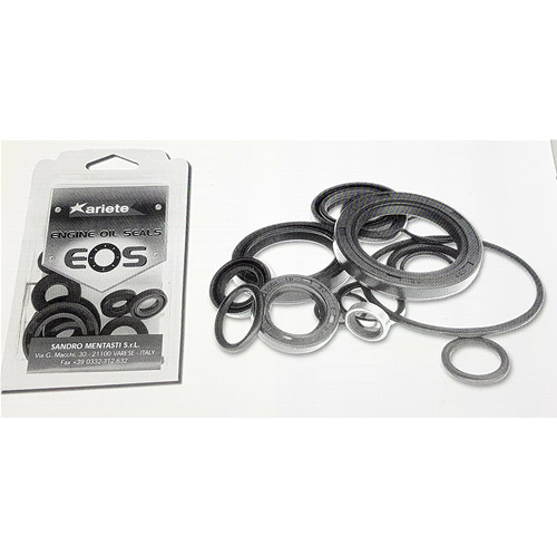 Paraolio motore ducati - motore,